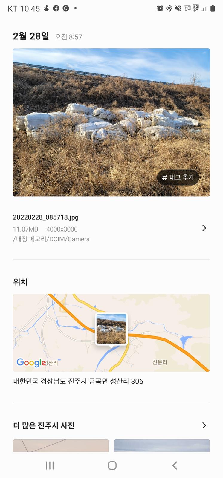 쓰레기 투기 사진