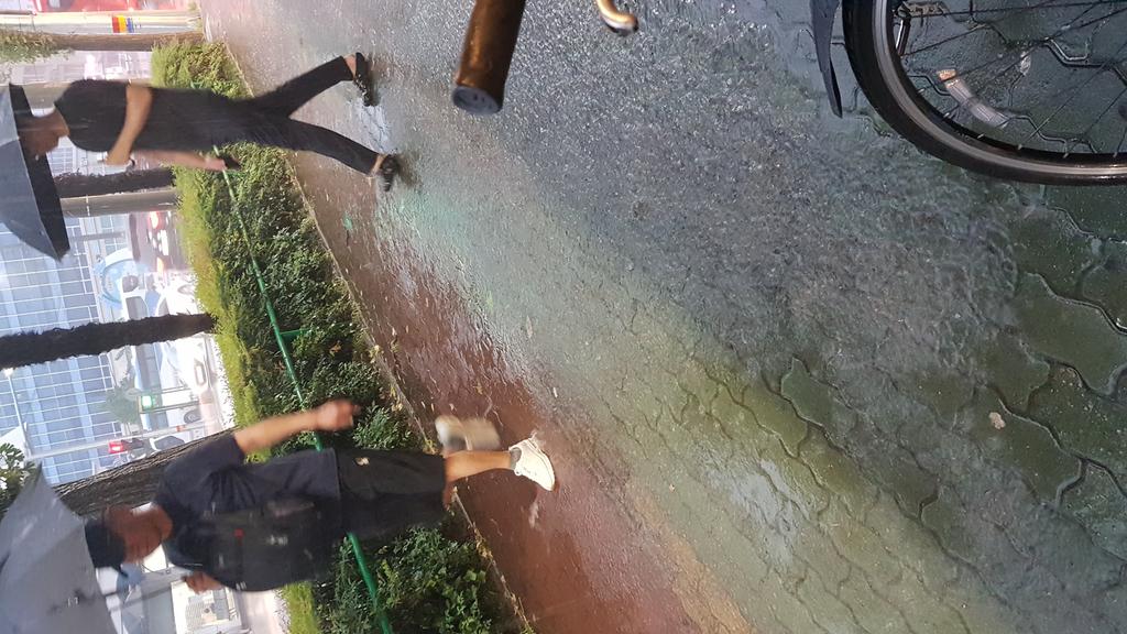 물이 고여서  피해  갓길을  이용하고 있음