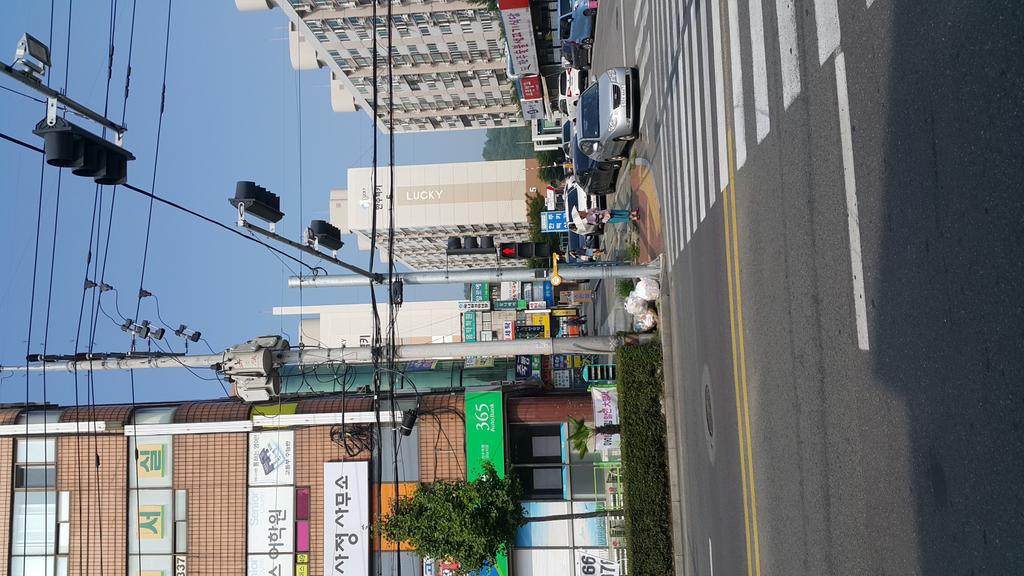 주약동 다이소 앞 신호등 