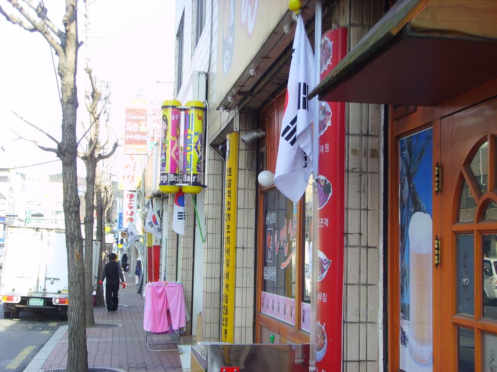 태극기거리조성