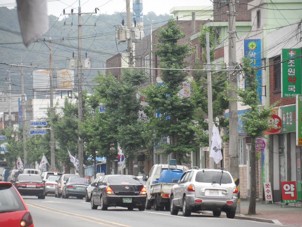 제헌절 나라사랑 국기게양 거리 조성