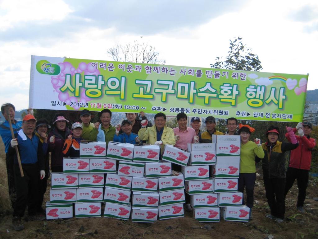 고구마 수확 사진입니다