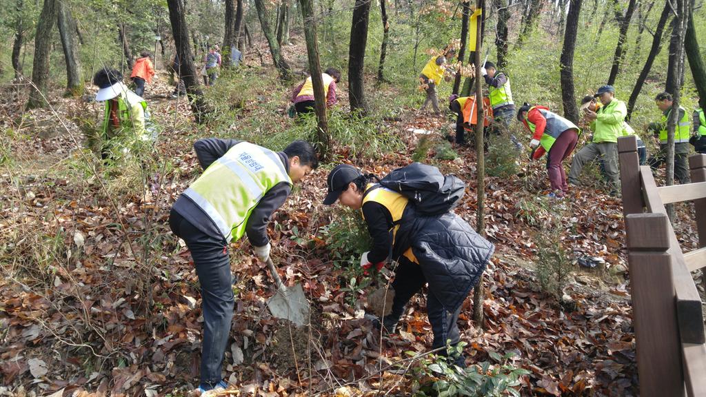 비봉산 내나무갖기 