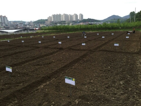 경운작업 후
