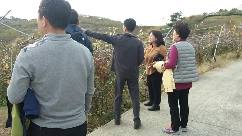 꽃길조성 현지답사
