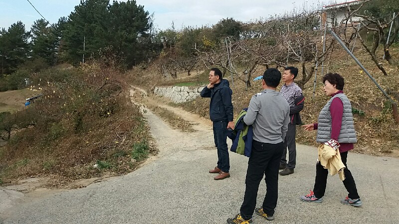 꽃길조성 현지답사