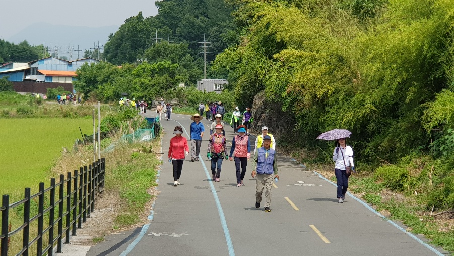 걷기대회