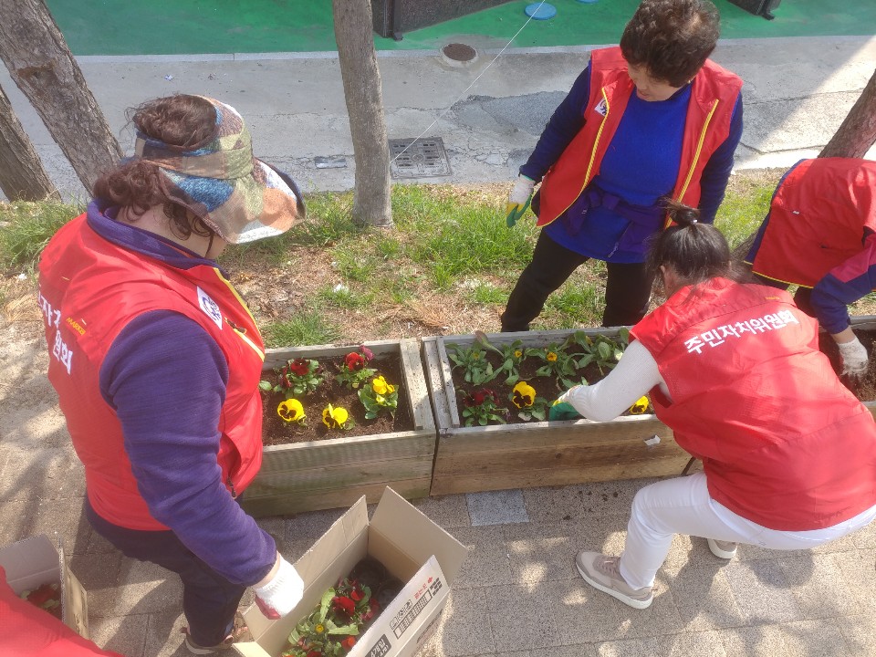19-03-28 꽃밭상자 꽃 심기