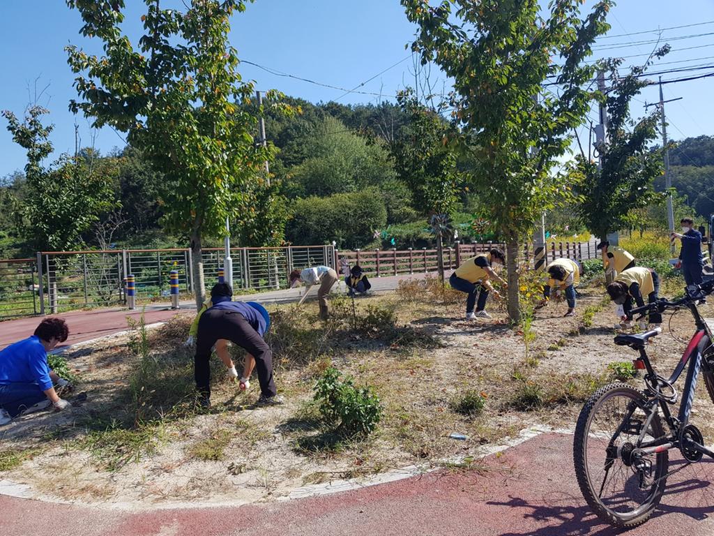 주약동 약골마을입구 바람개비 동산 환경정비 및 화단 가꾸기 