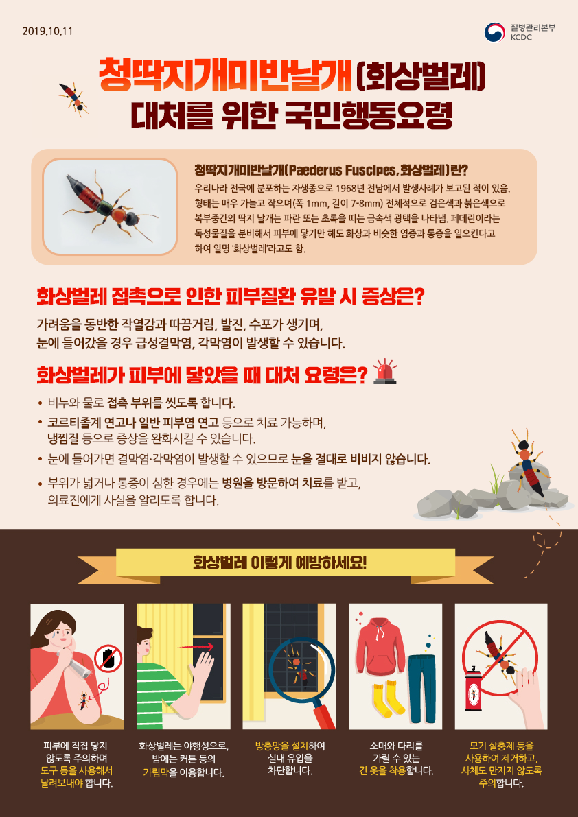 화상벌레 대처요령