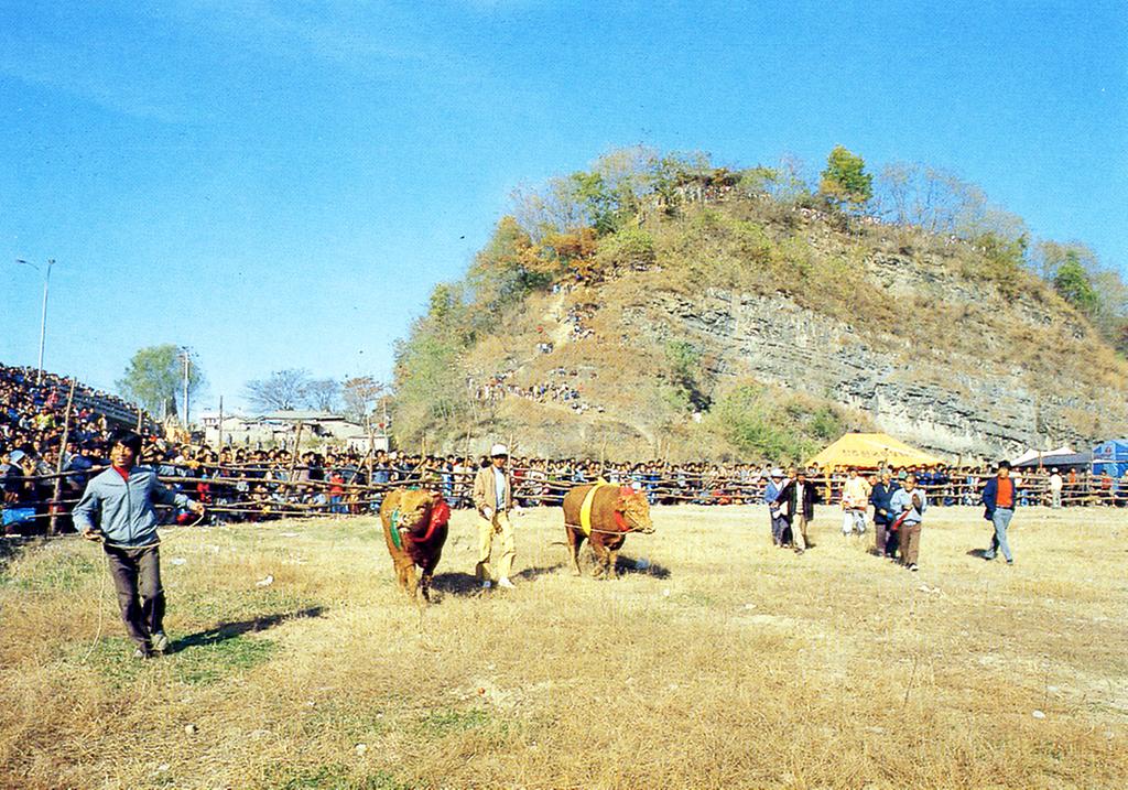 78.jpg