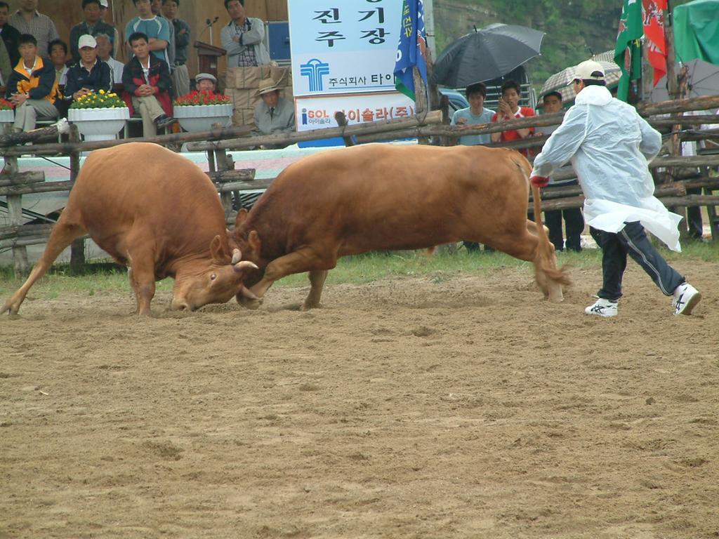 dscf0005.jpg
