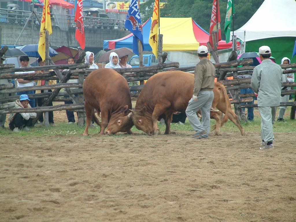 dscf0004.jpg