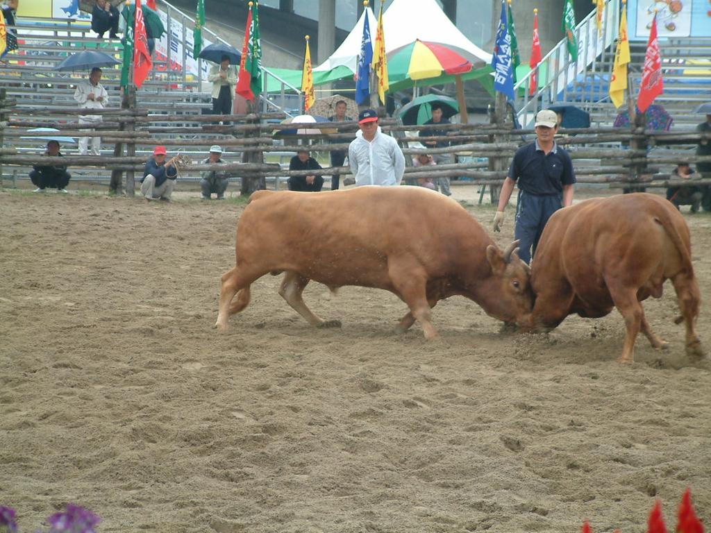 dscf0013.jpg