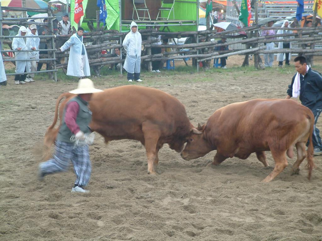 dscf0037.jpg