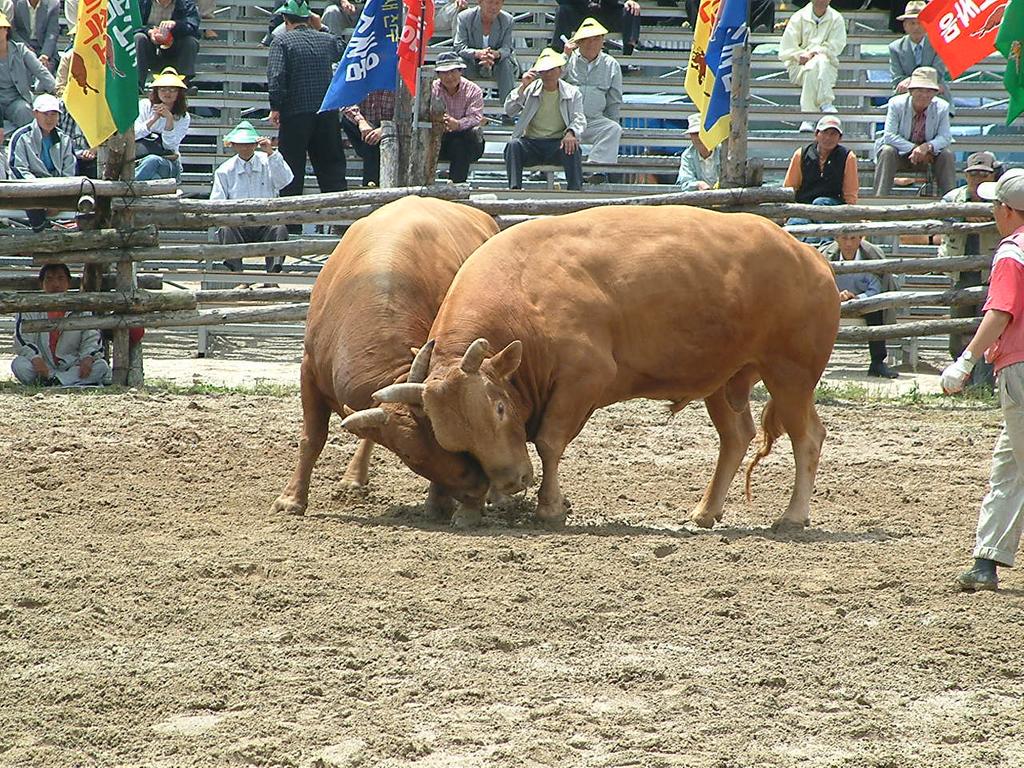 dscf0016.jpg