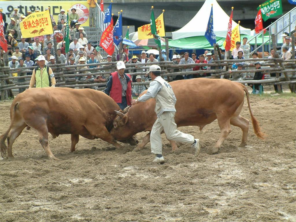 dscf0023.jpg