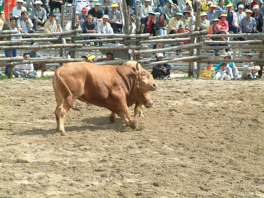 dscf0041.jpg