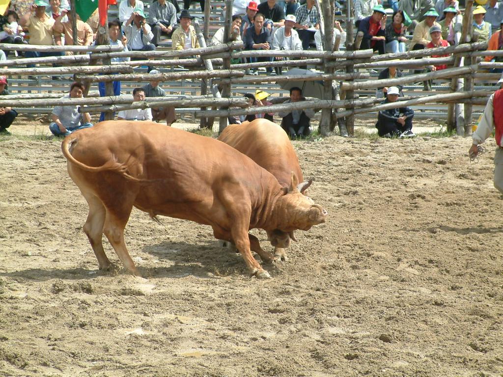 dscf0042.jpg