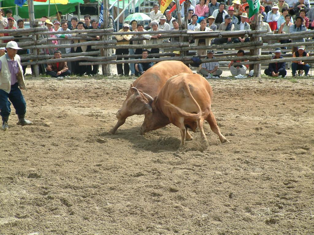 dscf0050.jpg