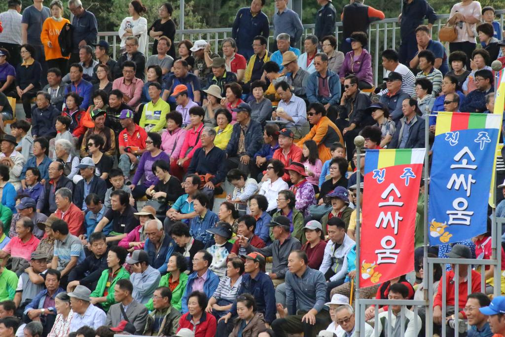 2019년 토요상설 소싸움 대회 관중