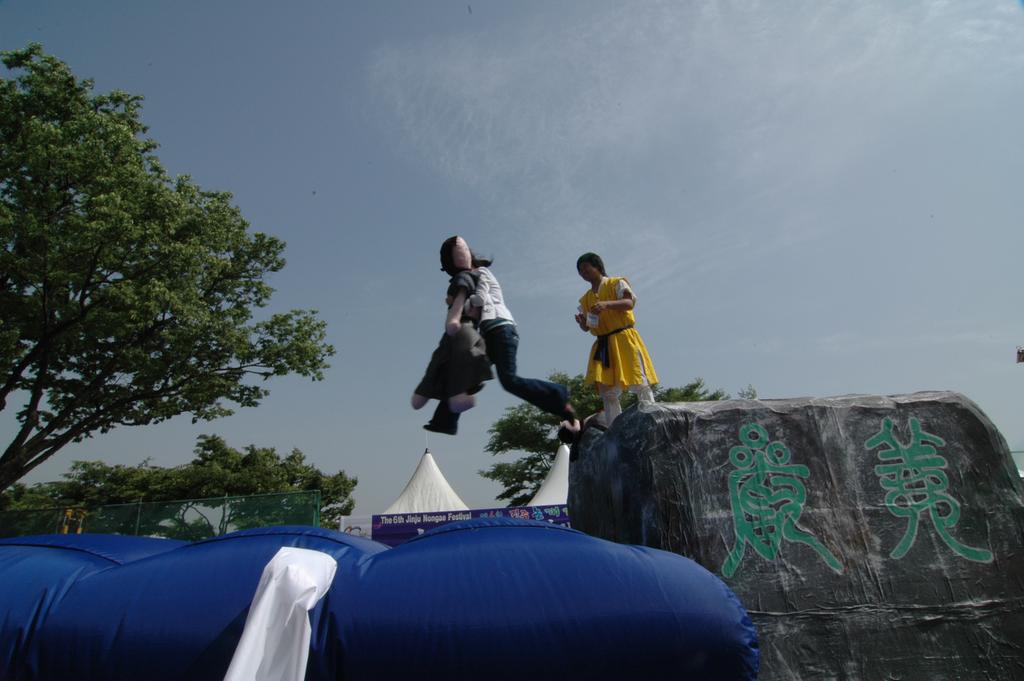 dsc_8566.jpg