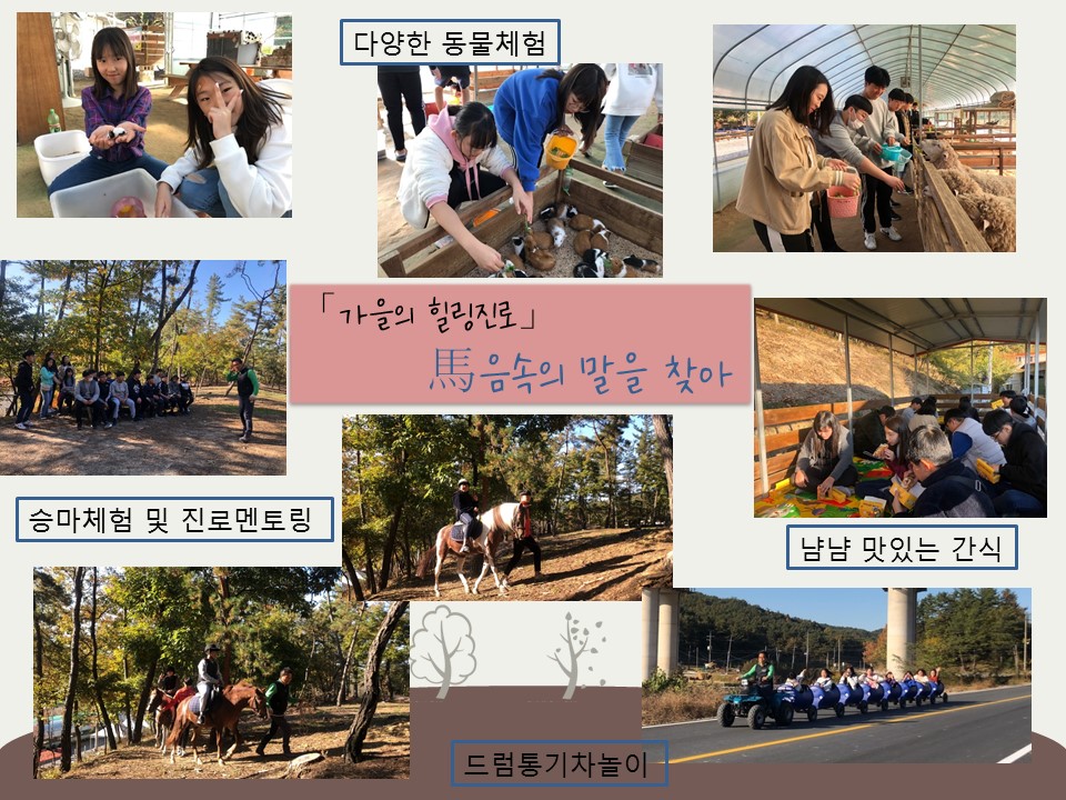 #승마체험 #동물먹이주기 #드럼통기차놀이
