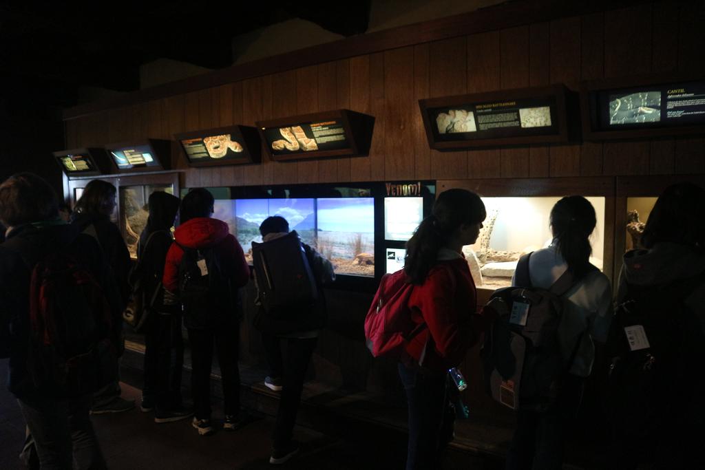Desert museum and Old Tucson