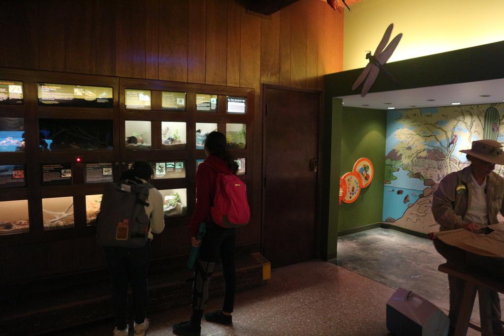 Desert museum and Old Tucson