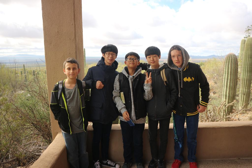 Desert museum and Old Tucson
