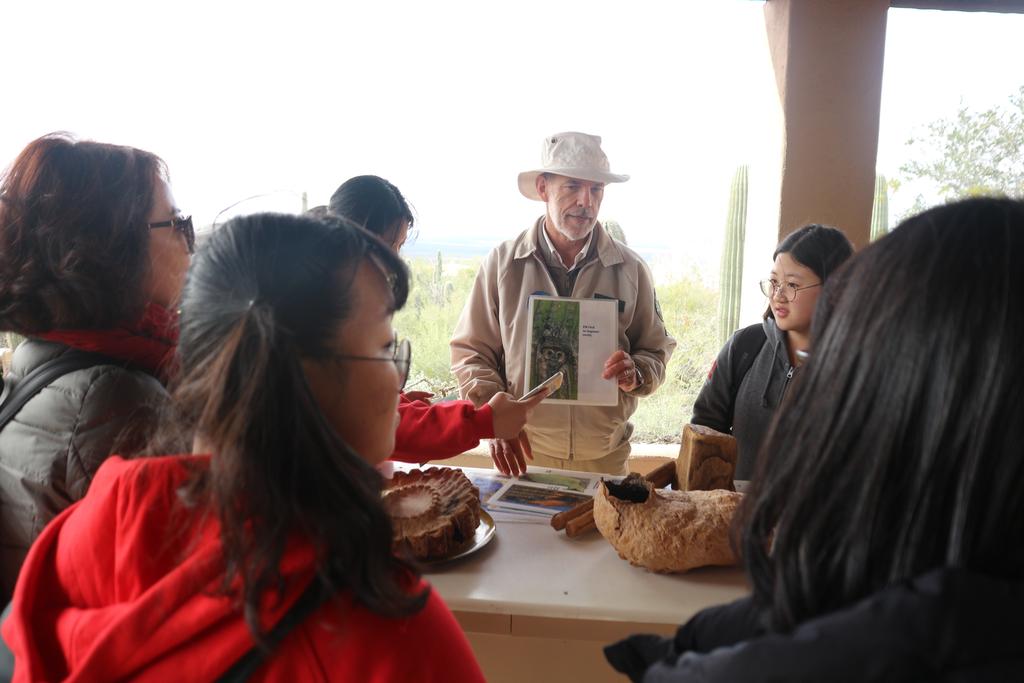 Desert museum and Old Tucson