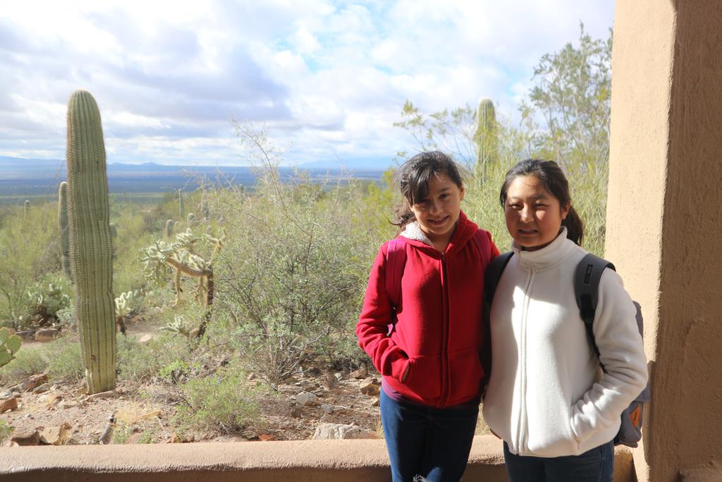 Desert museum and Old Tucson