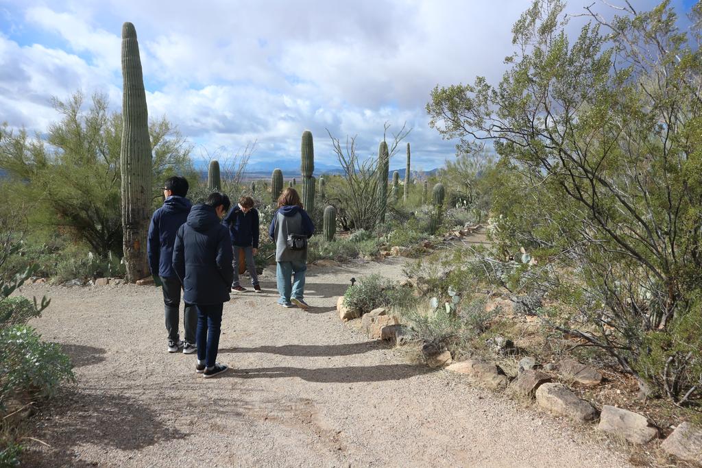 Desert museum and Old Tucson