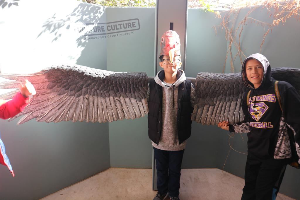 Desert museum and Old Tucson