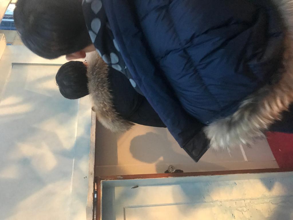 2018년 겨울 해외 영어캠프(캐나다)