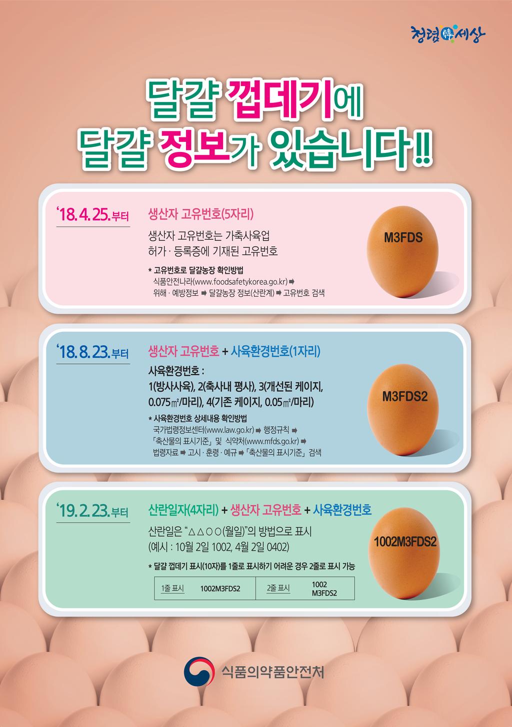 달걀껍데기