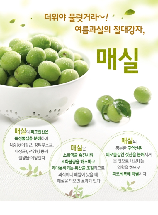 매실의 효능