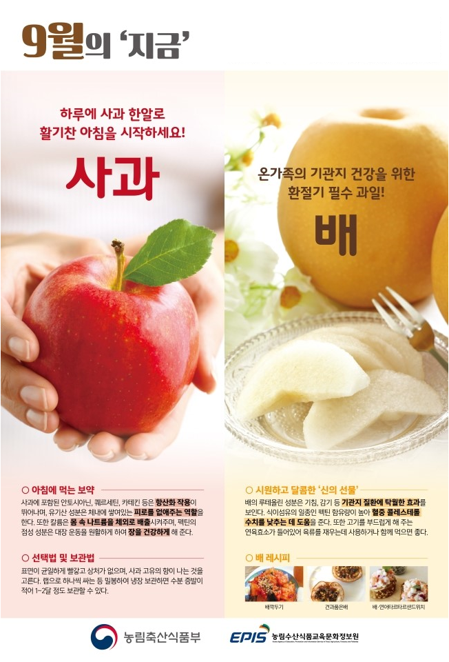 9월 영양교육자료