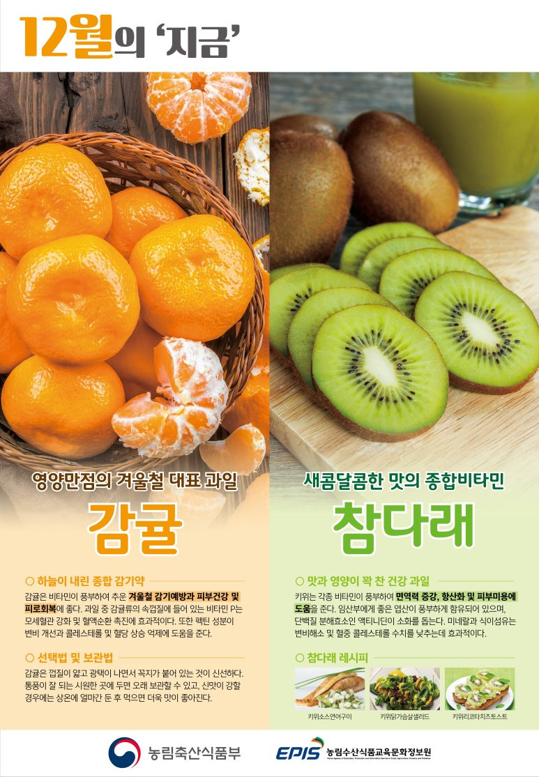 12월 제철과일