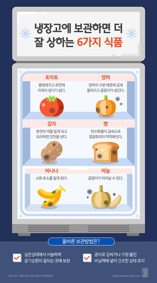 냉장고 보관