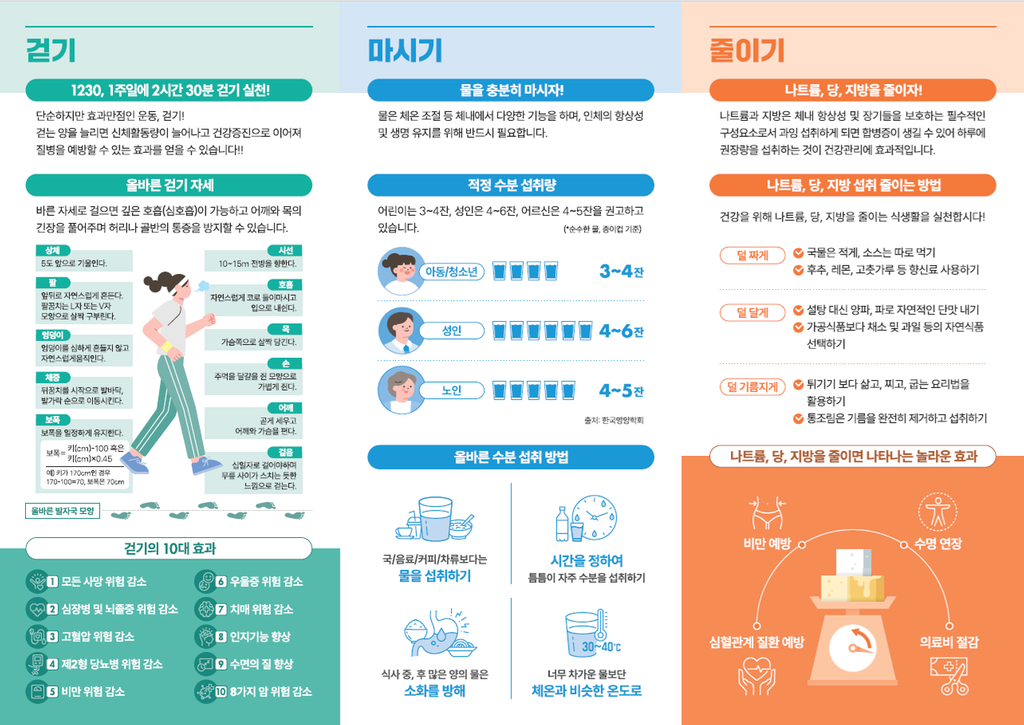 비만예방