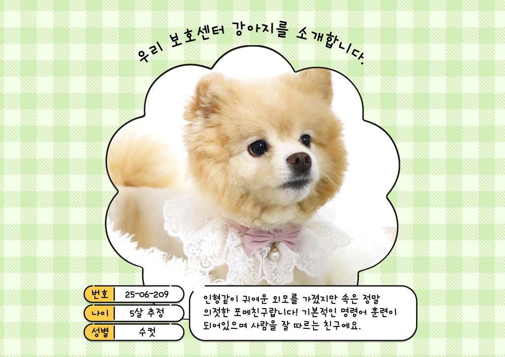 공고번호:25-06-209
