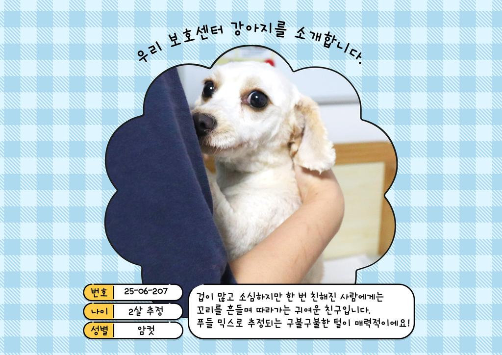 공고번호:25-06-207