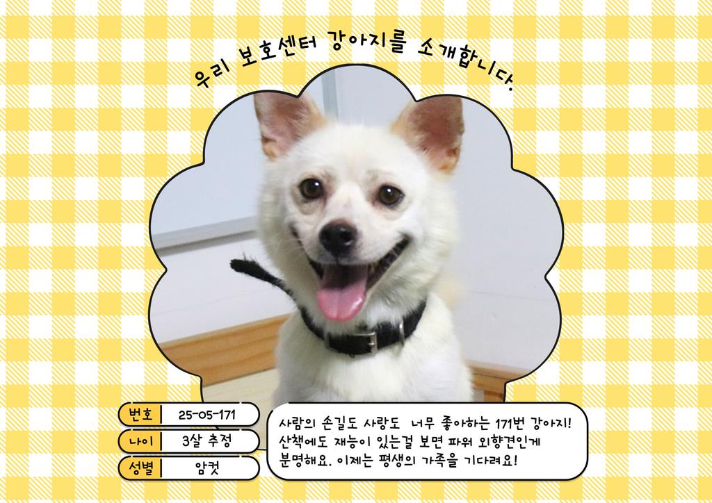 공고번호:25-05-171