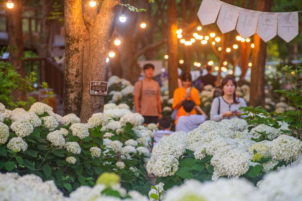 진주시 월아산 국가<b class=