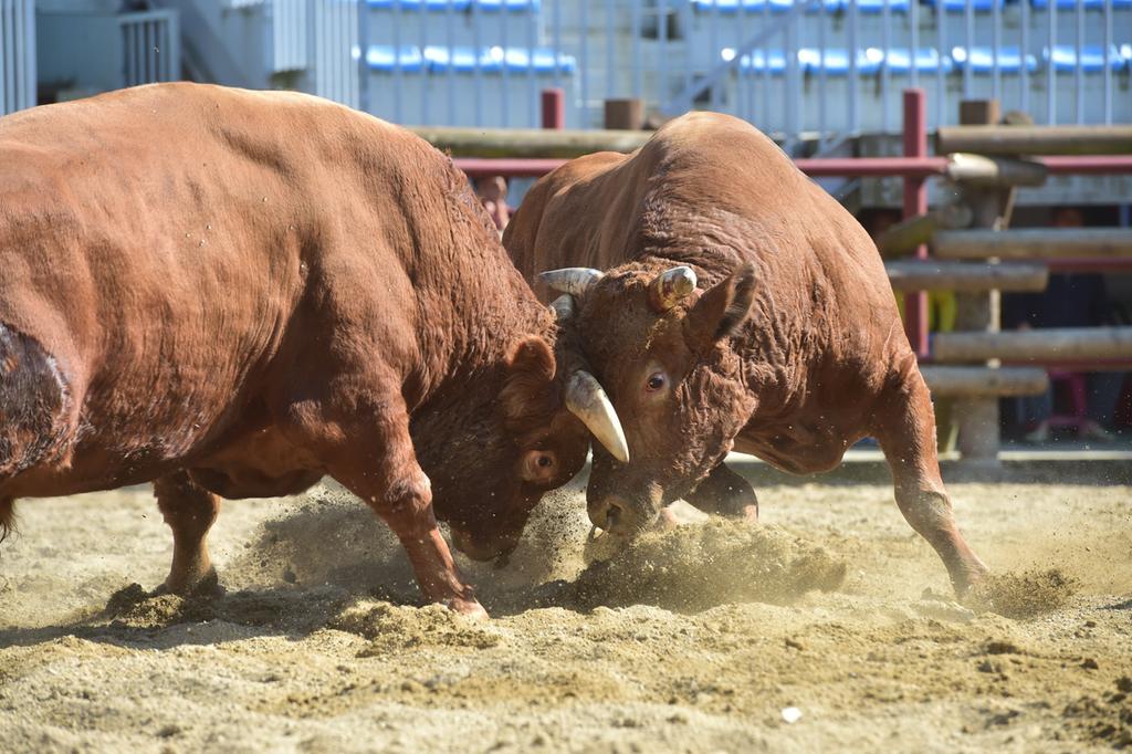 진주시 제<b class=