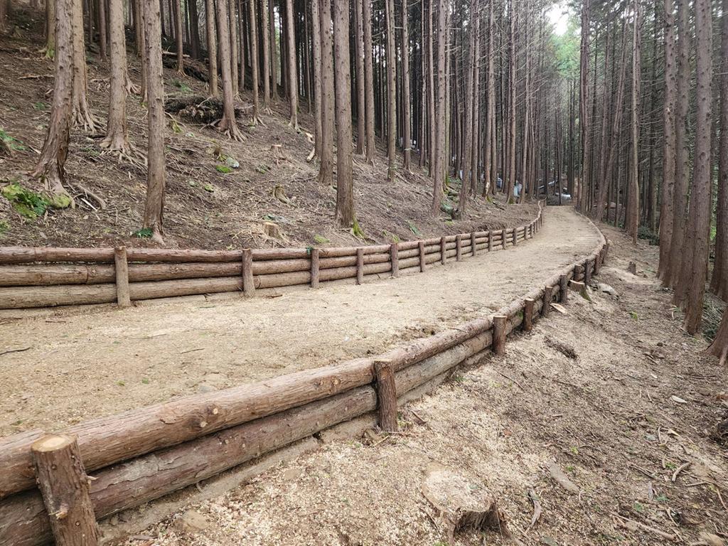 진주시 석갑산 편백림 산림공원 조성사업 24년 연내 마무리 추진