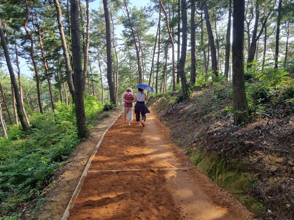 진주시 진양호 숲기운 담은 맨발길 조성