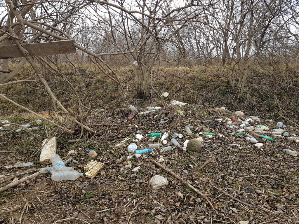 강변을  뒤덮고  있는 쓰레기 더미 