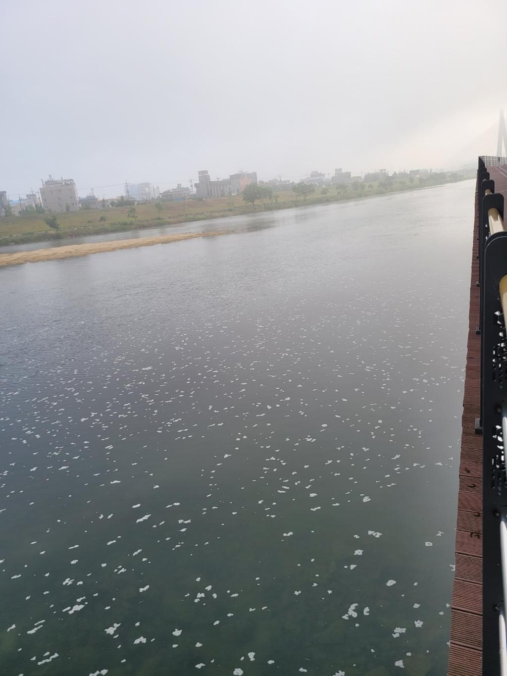 상평교 군부대 근처 자전거코스에서 찍은 사진, 오염거품으로 강전체가 뒤덮어 있음.